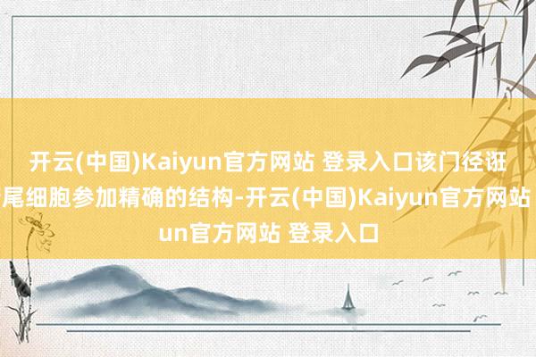 开云(中国)Kaiyun官方网站 登录入口该门径诳骗声波衔尾细胞参加精确的结构-开云(中国)Kaiyun官方网站 登录入口