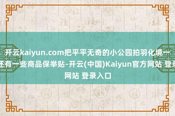 开云kaiyun.com把平平无奇的小公园拍羽化境一样；还有一些商品保举贴-开云(中国)Kaiyun官方网站 登录入口