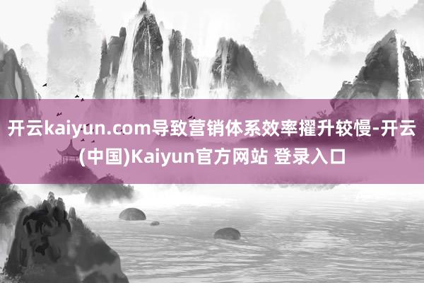 开云kaiyun.com导致营销体系效率擢升较慢-开云(中国)Kaiyun官方网站 登录入口